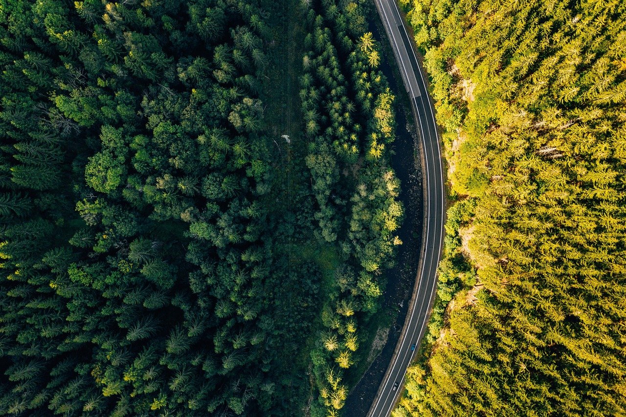 road, drone, aerial, trip, travel, poland, europe, czech, republic, karkonosze, giant mountains, nature, landscape, topdown, above, forest, trees, outdoors, cars, aerial photography